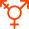 LGBTQ Friendly